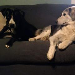 Profile Picture of Jessica Hurd (@@jessicahurd) on Tiktok