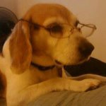 Profile Picture of Jeanne Brown (@jeanne.brown.526) on Instagram