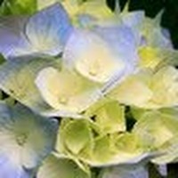 Profile Picture of C. Tyson (@c-tyson) on Quora