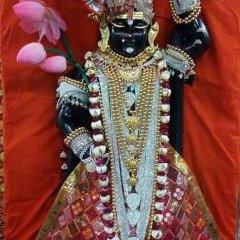 Profile Picture of Shailesh Pandya (@shailesh59brd) on Twitter