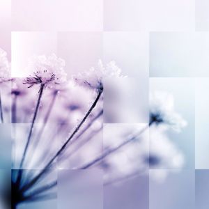 Profile Picture of Hannah Cain (@eternityheart) on Myspace