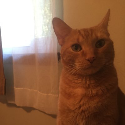 Profile Picture of Robin Rogers (@RobinRogers) on Twitter