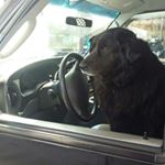 Danny Pelletier - Instagram Profile Picture of Danny Pelletier (@danjp1022) on Instagram