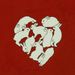 Profile Picture of Luz Stella Cobos Infante (@cobosinfante) on Pinterest