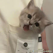 Profile Picture of Jason Richardson (@JasonRichardson-v1p) on Youtube