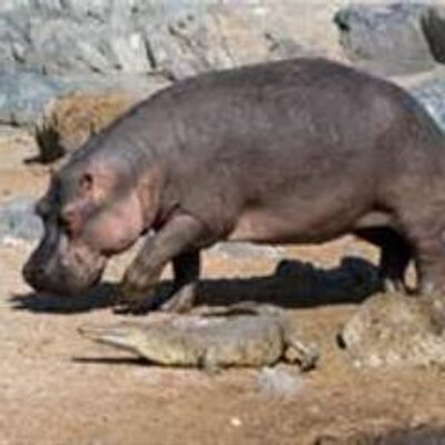 Profile Picture of Jason Zuch (@JasonZuch) on Twitter
