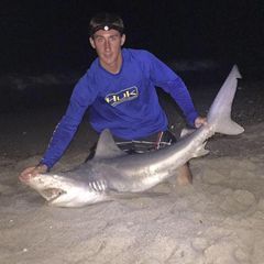 Profile Picture of Brian Wolford121 (@brianwolford2) on Tiktok