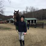 Profile Picture of Slick Amy 🐴💗 (@slick_amy_racez44175) on Instagram