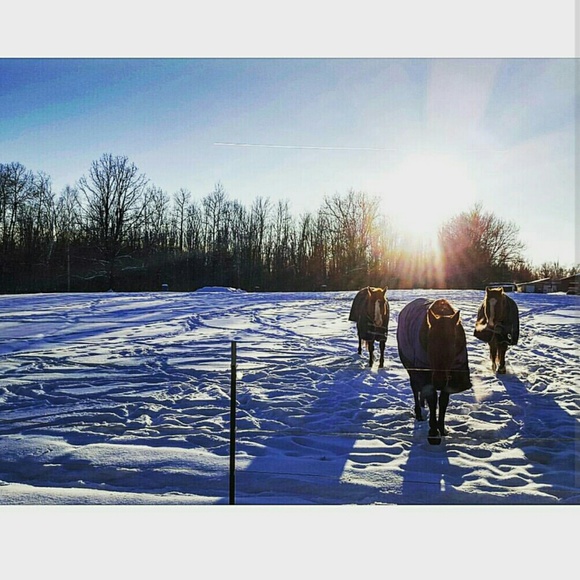 Profile Picture of Morgan Kowitz (@morgansmk) on Poshmark