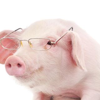 Profile Picture of William Golding (Piggy the forgotten) (@William-Golding) on Facebook