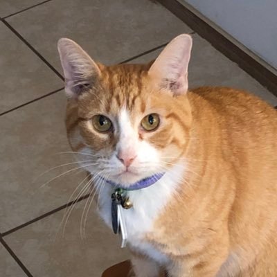 Profile Picture of Jacob Tidwell (@JacobTi27039278) on Twitter