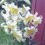 Heather Kendrick - Instagram Profile Picture of Heather Kendrick (@heatherkendrick) on Instagram