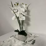 Profile Picture of Elvira Egart (@Elvira-Egart) on Facebook