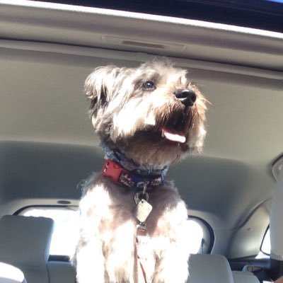 Profile Picture of Jonathan Racine (@BozzDanson) on Twitter