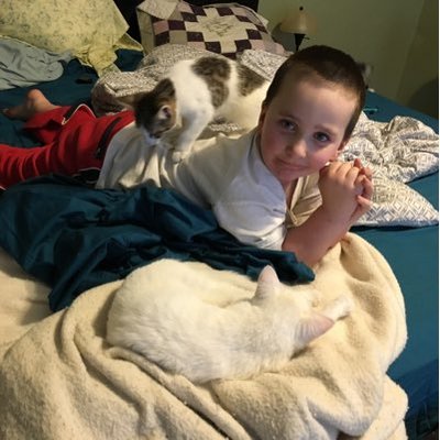 Profile Picture of Allison Steiner (@AllisonSteiner9) on Twitter