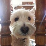 Profile Picture of Dawn (@dwn.dykstra) on Instagram