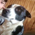 Profile Picture of Barry Perry (@perrybarry) on Instagram