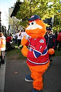 Profile Picture of Youppi! - Wikipediaon Wikipedia