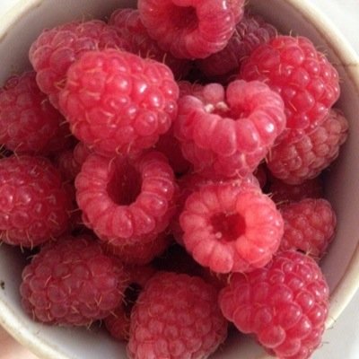 Profile Picture of Павел (@pavelgolub1) on Twitter