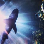 Profile Picture of Ryan.Rutkowski :/ (@ryry_rhino_m8) on Instagram