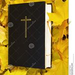 Profile Picture of José Moisés Mantuano Quijije (@jose_man1995) on Instagram