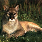 Profile Picture of Laria Lima (@laria lima) on Flickr