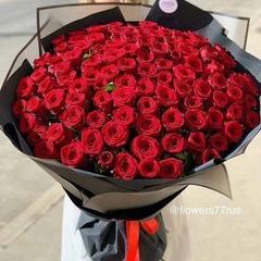 Profile Picture of Amal Ramzy (@amal.ramzy91) on Tiktok