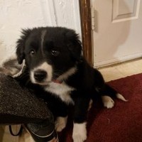 Profile Picture of Colt Steven (@colt-steven) on Quora