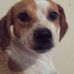 Profile Picture of David Keltner (@David-Keltner) on Facebook