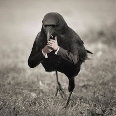 Profile Picture of Alexander Dahl (@alexanderdahl4) on Twitter