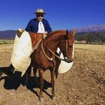 Patricio Feming - Instagram Profile Picture of Patricio Feming (@fleming_patricio) on Instagram