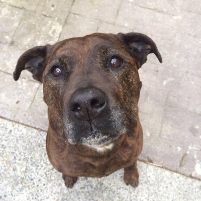 Profile Picture of Dave Annear (@Kiwidave101) on Twitter