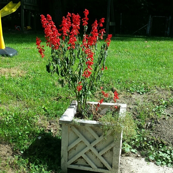 Profile Picture of Stacy Byous (@stacybyous) on Poshmark