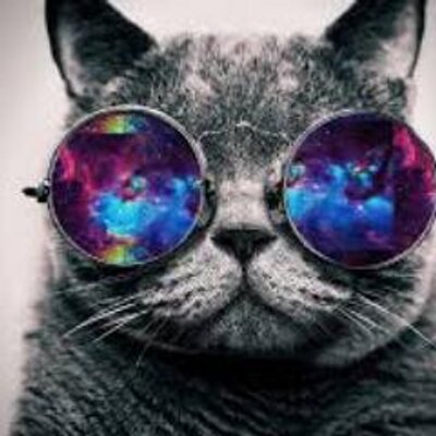 Profile Picture of Samantha Olivas Loo (@LooFlaca) on Twitter