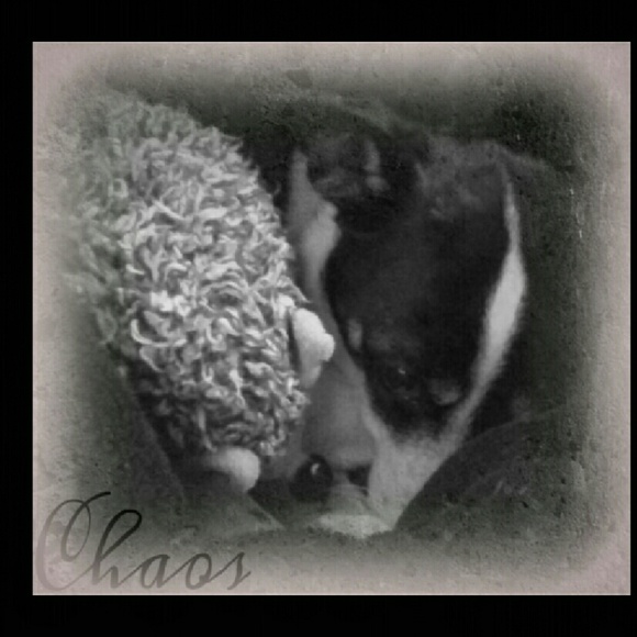 Profile Picture of Gerry Gertschitz (@gueensuka) on Poshmark