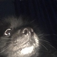 Profile Picture of Rodrigo Rodrigues (@rodrigo-rodrigues-153) on Quora