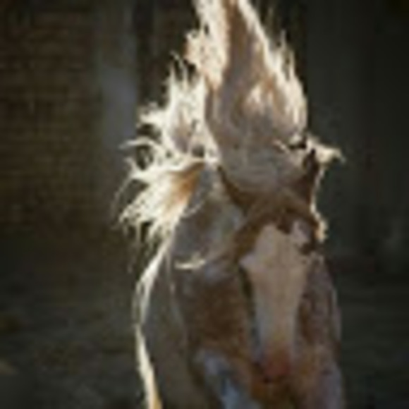 Profile Picture of Caitlin Minor (@caitlin_minor) on Poshmark