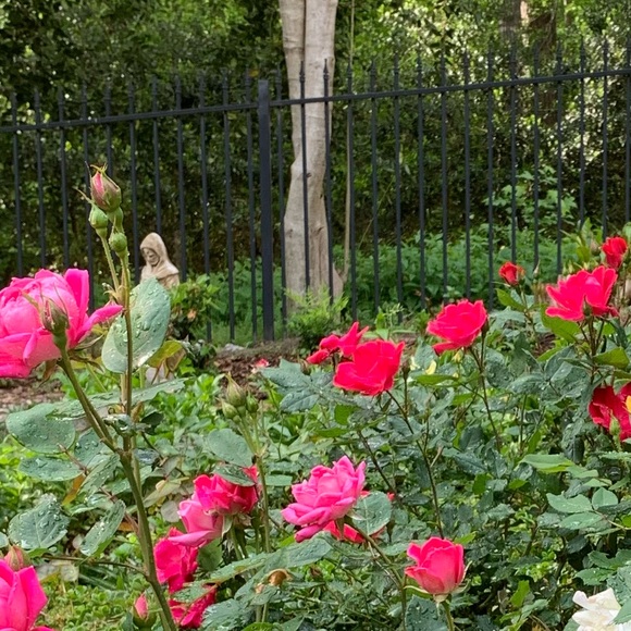 Profile Picture of Sevim Jumper (@sevim324) on Poshmark