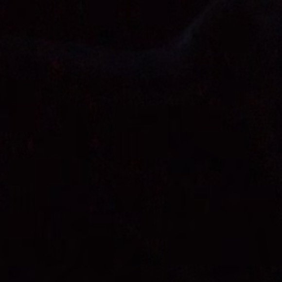 Profile Picture of Razan Shahin (@razanshahin891) on Poshmark