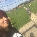 Profile Picture of Amy Wilcox-Maguire (@amylillianleigh) on Instagram