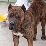 Profile Picture of Danny Sepulveda (@Danny-Sepulveda) on Facebook