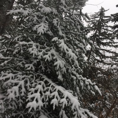 Profile Picture of Pamela Townsend (@Pamt0630) on Twitter