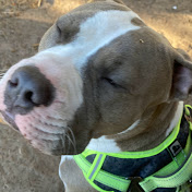 Profile Picture of Andrew McGuigan (@andrewmcguigan1073) on Youtube