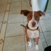 Profile Picture of Kimberly Campbell (@kimberlycampbell6030) on Youtube