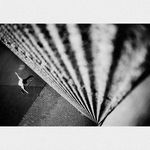 Profile Picture of Isabell Lippold (@3isabell_lippold) on Instagram