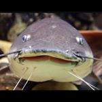 Profile Picture of Jonathan Furlow (@furlow.jonathan) on Instagram