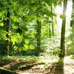 Profile Picture of Aurelio Jimenez (@aurelio.jimenez.7127146) on Instagram