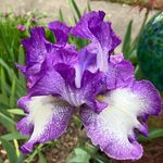 Profile Picture of Gina Garrison (@gina.garrison.52) on Instagram