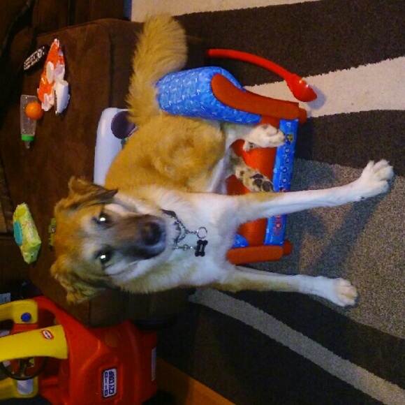 Profile Picture of Shannon Killilea (@shannonpat) on Poshmark