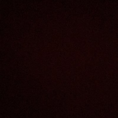 Profile Picture of Mark Vences (@VencesMark) on Twitter